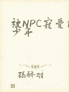 被NPC宠爱的少年