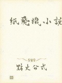 纸飞机小说