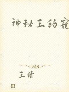 神秘王的宠姬