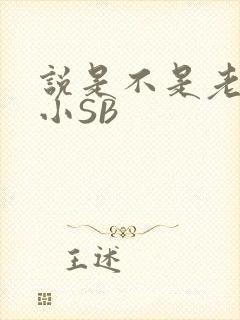 说是不是老公的小SB