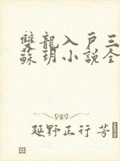 双龙入户三人行苏玥小说全文阅读