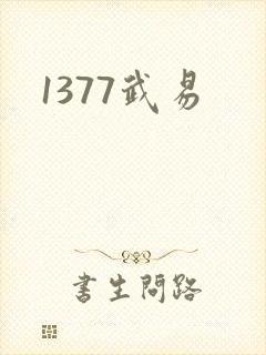 1377武易