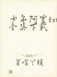 少年阿宾txt全集下载