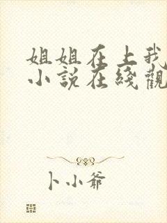 姐姐在上我在下小说在线观看