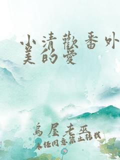 小清欢番外篇完美的爱