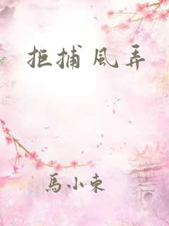 拒捕 风弄