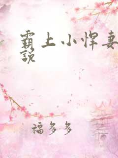 霸上小悍妻 小说