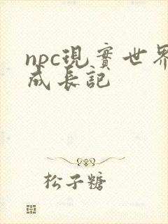 npc现实世界成长记
