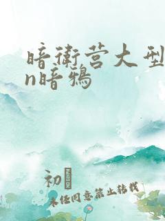 暗卫营大型hpn暗鸦