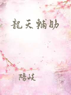 龙天辅助