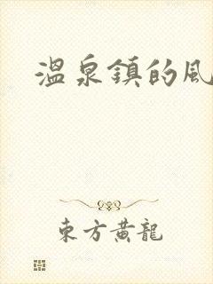 温泉镇的风流事