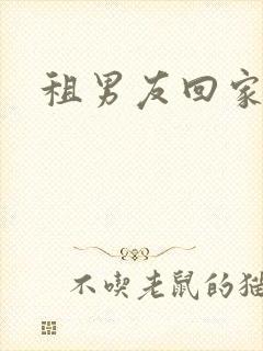 租男友回家过年