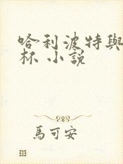 哈利波特与火焰杯 小说