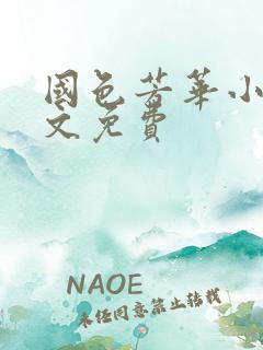 国色芳华小说全文免费