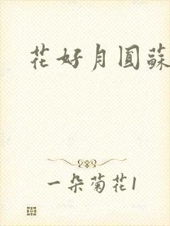 花好月圆苏茜茜