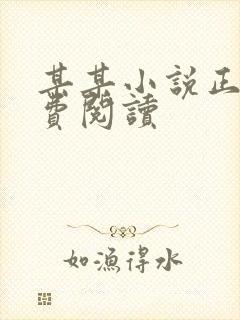 某某小说正版免费阅读