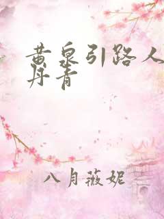 黄泉引路人 碎丹青