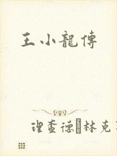 王小龙传