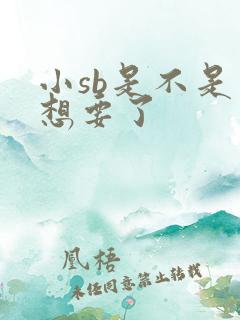 小sb是不是又想要了