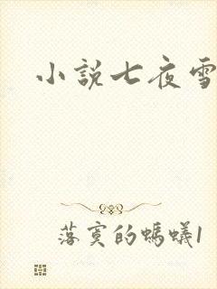 小说七夜雪下载