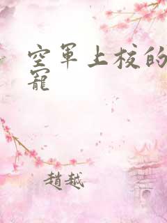 空军上校的邪魅宠