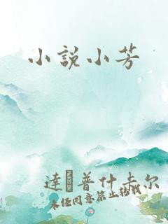 小说小芳