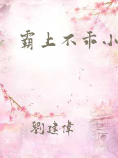 霸上不乖小逃妻