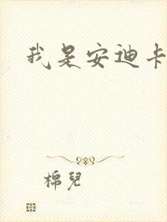 我是安迪卡罗尔