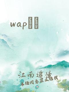 wapС˵