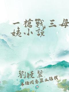 一枪战三母2雪姨小说