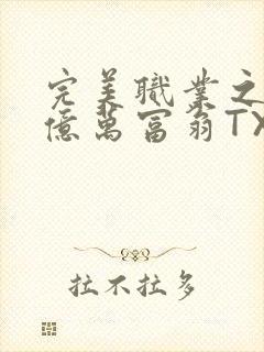 完美职业之我是亿万富翁TXT