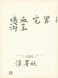 鸡血 宅男 网游王