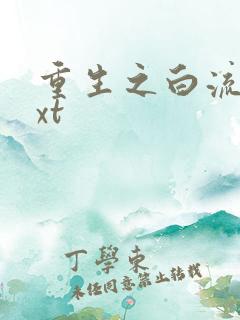 重生之白流苏txt