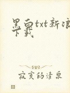 黑白txt新浪下载