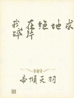 我在绝地求生捡碎片