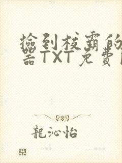 捡到校霸的遥控器TXT免费阅读