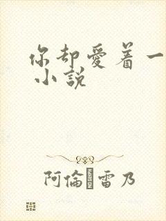 你却爱着一个他 小说