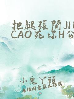 把腿张开JI巴CAO死你H公园