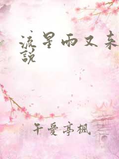 流星雨又来临小说