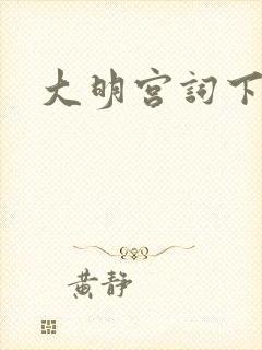 大明宫词下载