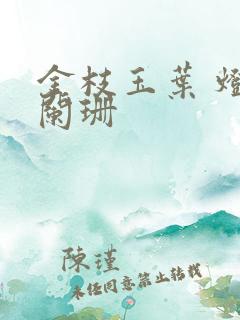 金枝玉叶 灯火阑珊