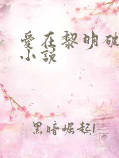 爱在黎明破晓前小说