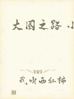 大国之路 小说