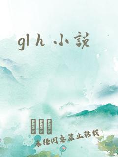 gl h 小说