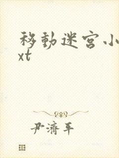 移动迷宫小说txt