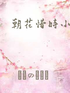 朝花惜时小说