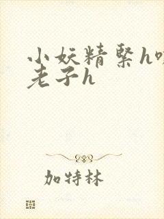 小妖精紧h嘶爽老子h