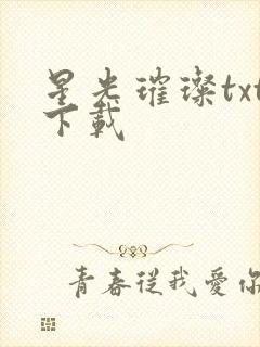 星光璀璨txt下载