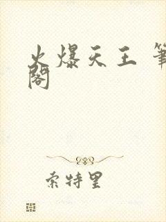 火爆天王 笔趣阁