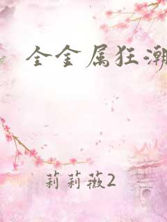 全金属狂潮小说